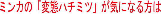 ミンカの「変態ハチミツ」が気になる方は