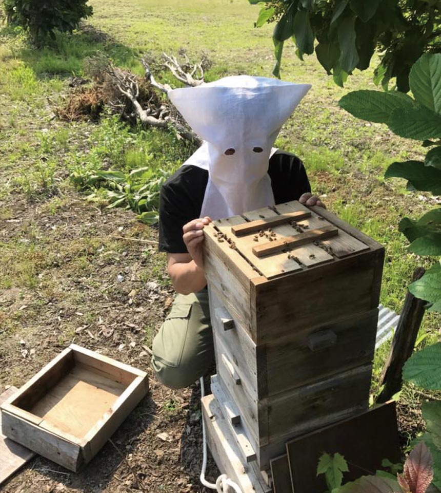 民家蜜蜂研究所写真