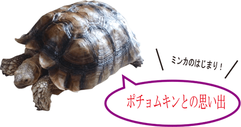 ポチョムキンとの思い出