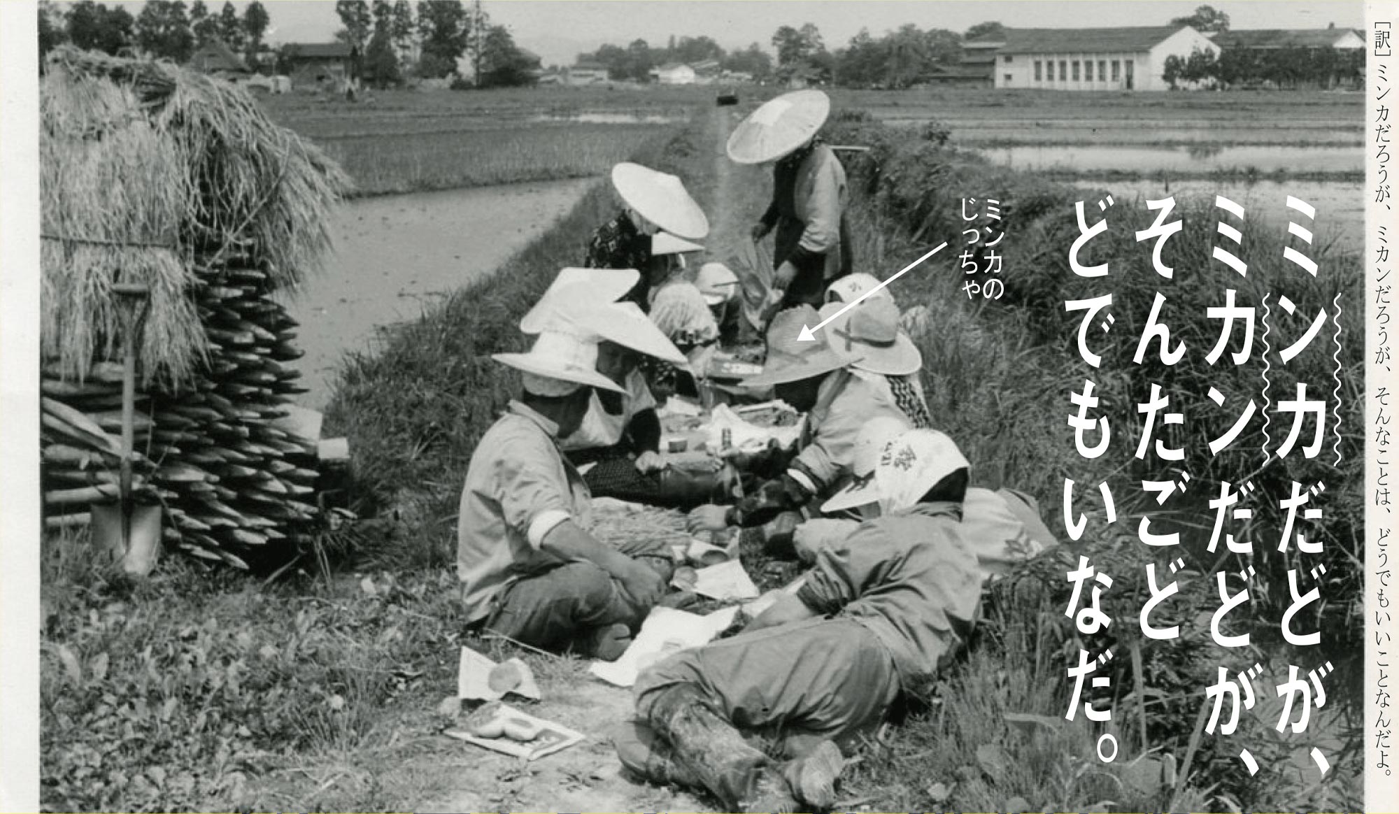 ミンカだどが、ミカンだどが、そんたごどどでもいなだ。